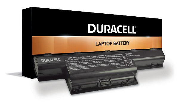 AS10D61 Batteri